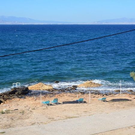 Aiolos Vagia  المظهر الخارجي الصورة
